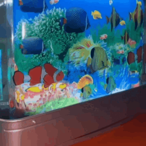 Read more about the article Fake Fish Tank Mini Aquarium