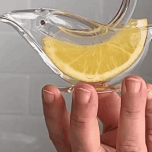Read more about the article The Bird Lime Squeezer