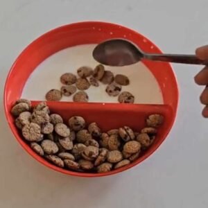 Read more about the article Just Crunch Anti-Soggy Cereal Bowl: A Breakfast Game-Changer