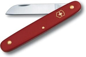 Read more about the article Precision Cuts: Victorinox Floral Knife