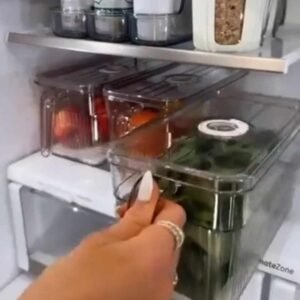 Read more about the article Loobuu Produce Containers with Drain Tray